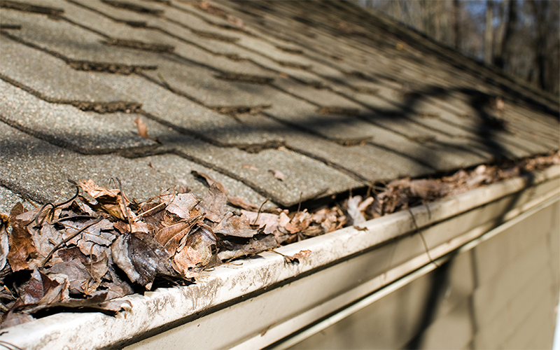 Roof home inspections services